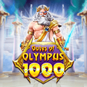 Cổng Olympus 1000 58wi